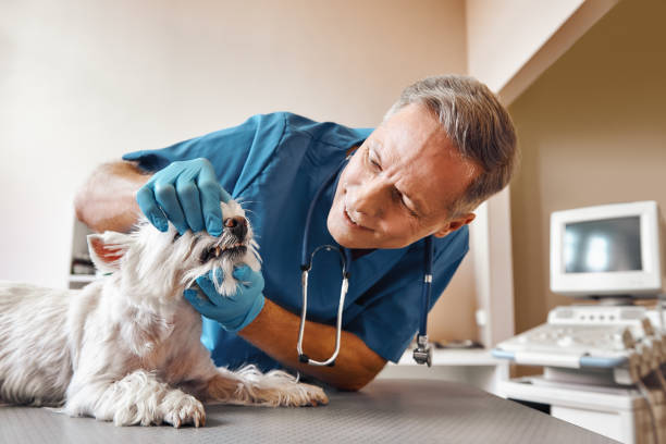Best Emergency Root Canal Treatment in Marietta, GA